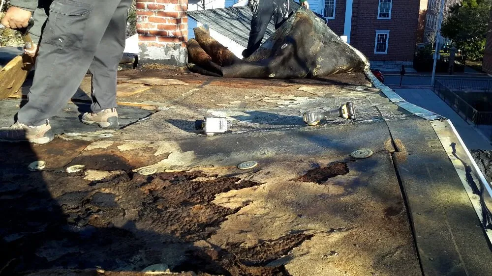 Trusted outdoor landscaping for homes in Medford, MA by Perez Landscape & Construction