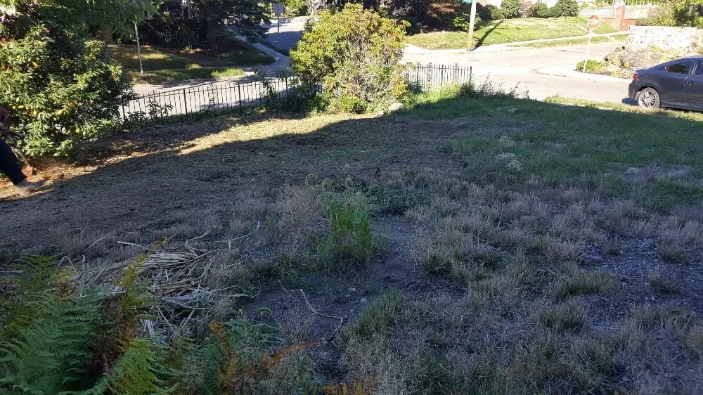 Affordable landscape installation in Medford, MA - Perez Landscape & Construction