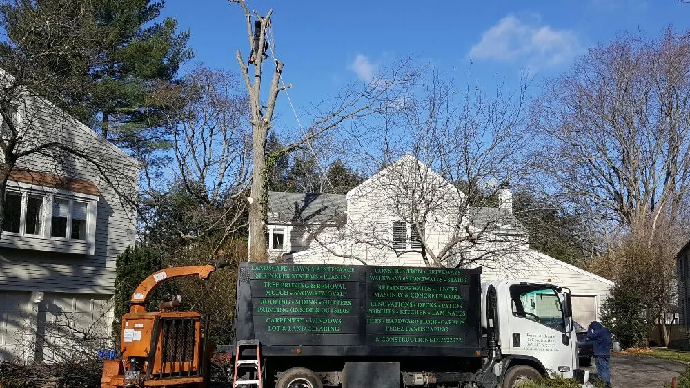 Expert garden landscaping in Medford, MA by Perez Landscape & Construction