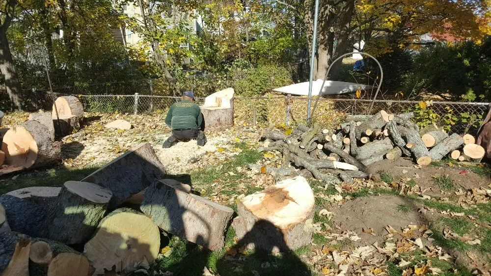 Top-rated lawn care service near you across Medford, MA - Perez Landscape & Construction