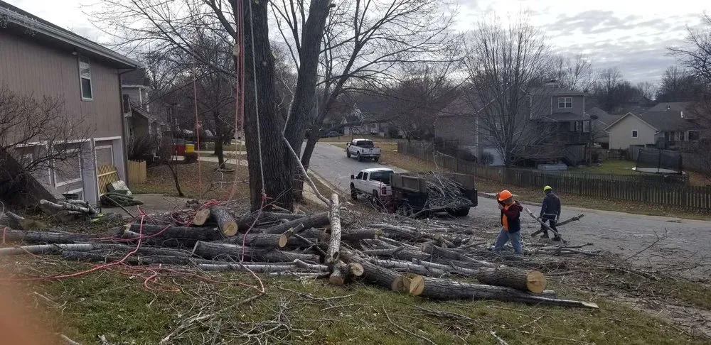 Affordable landscaping services in Kansas City, MO - Perez Landscape and Trees