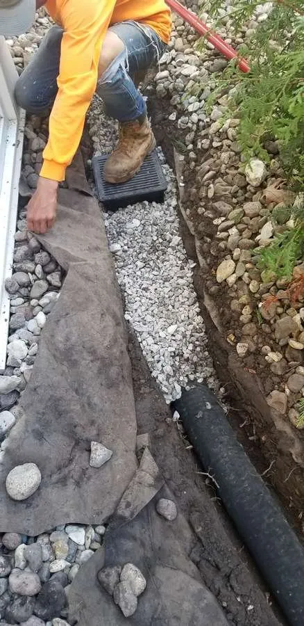 Affordable lawn care service in Kansas City, MO - Perez Landscape and Trees