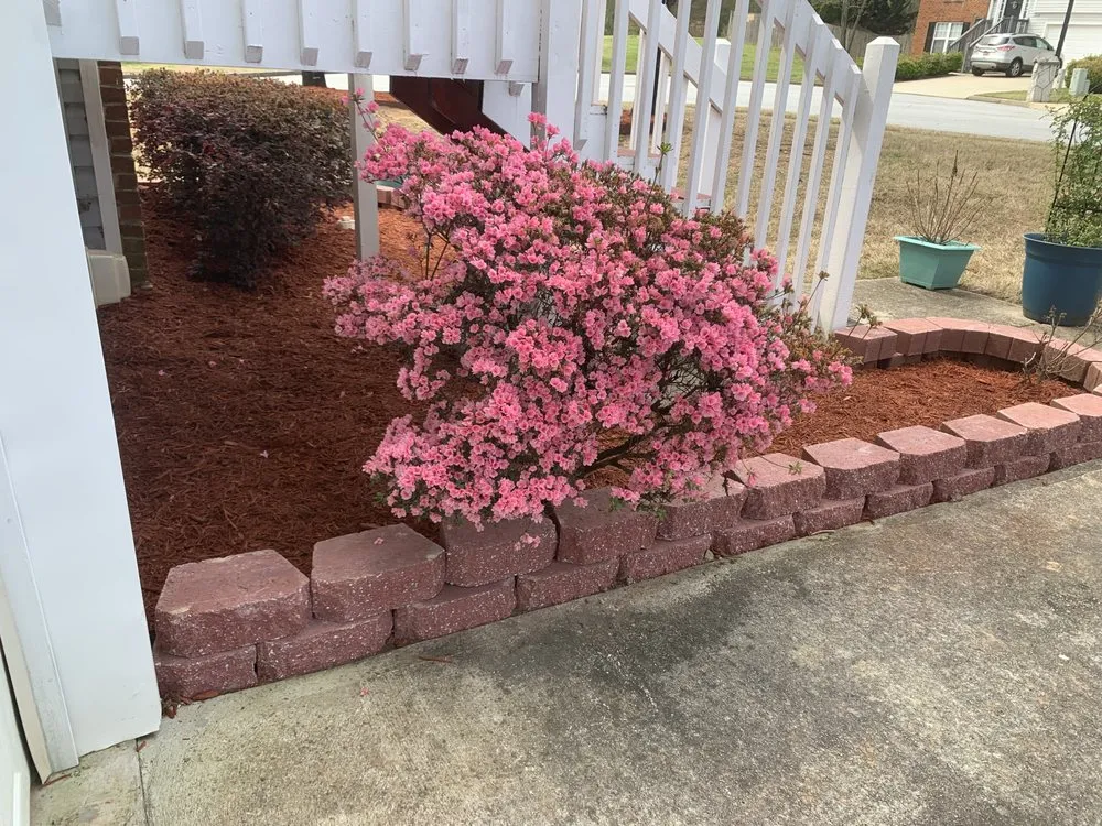 Reliable lawn mowing service with custom design across Duluth, GA - Perez Landscape