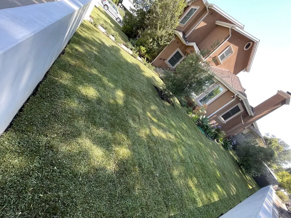 Expert yard cleanup service experts serving Los Angeles, CA - Perez Landscape