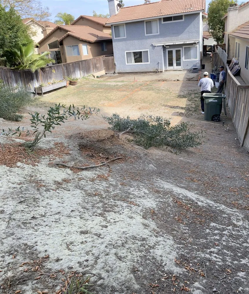 Professional landscaping services experts serving San Clemente, CA - Perez Landscape