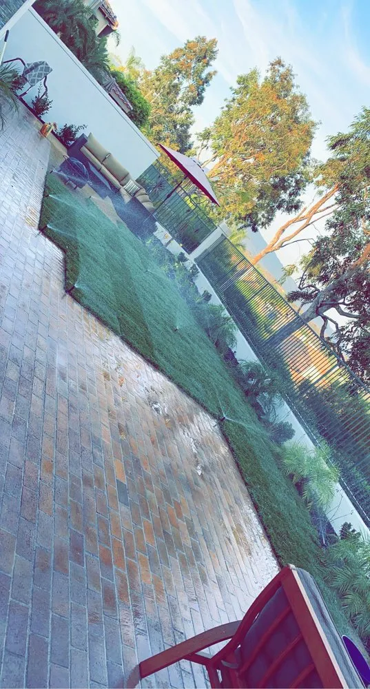 Top-rated yard maintenance in San Clemente, CA - Perez Landscape