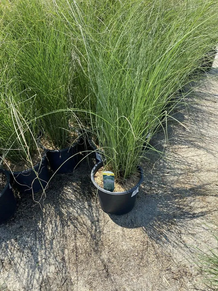 Reliable yard cleanup service in Lynn, MA - Perez Landscaping & Construction