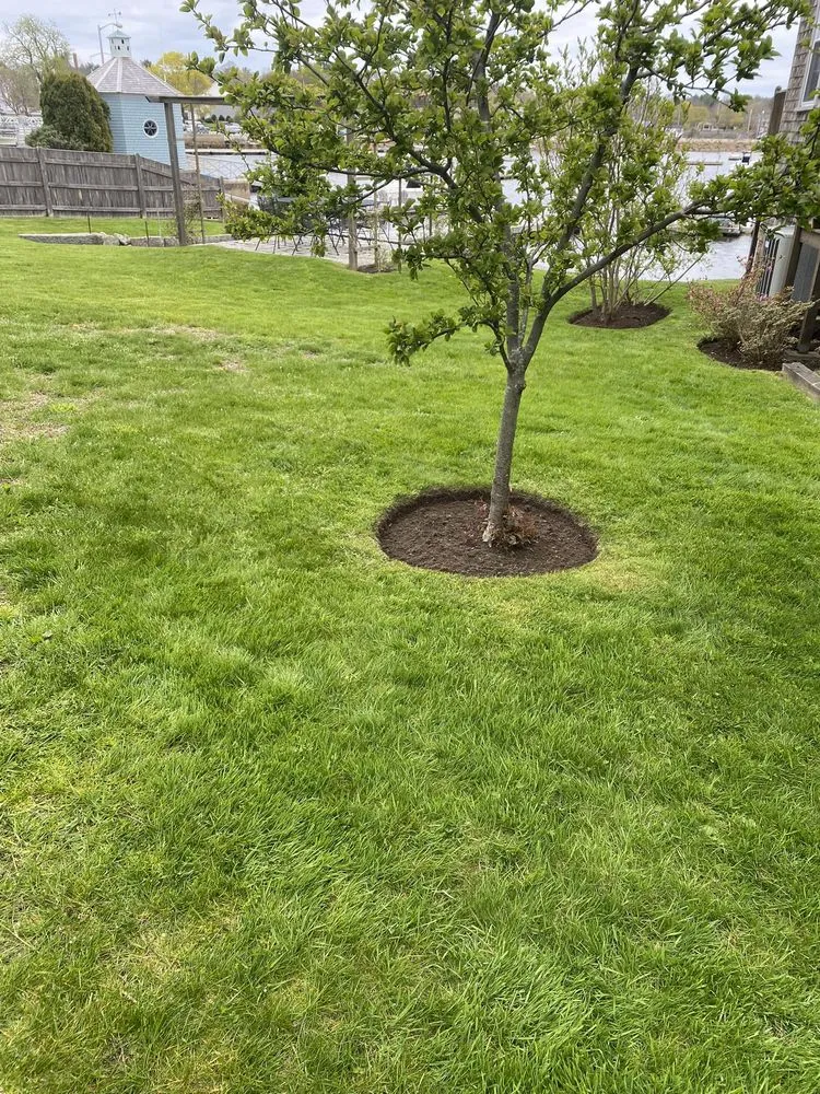 Top-rated lawn mowing service in Lynn, MA by Perez Landscaping & Construction