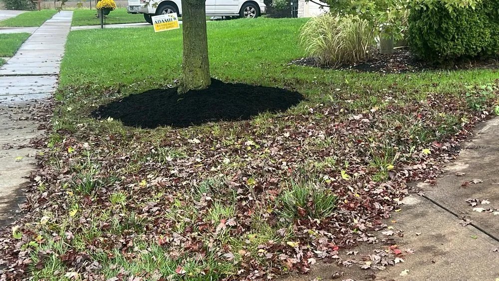 Reliable landscape installation in Columbus, OH by Perez Landscaping & Landscape