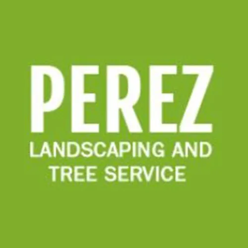 Expert yard maintenance near you across San Jacinto, CA - Perez Landscaping & Tree Service