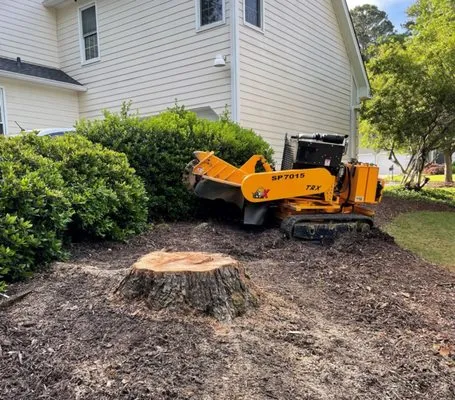 Perez Landscaping & Tree Service