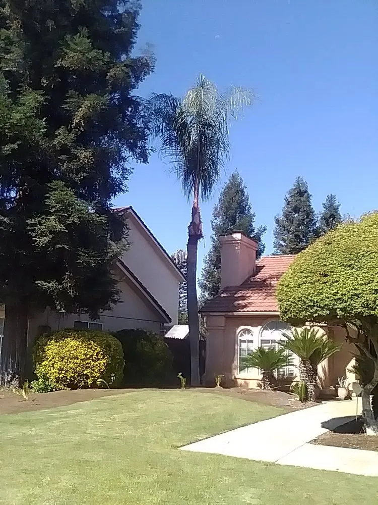 Trusted landscaping services in Madera, CA - Perez Landscaping & Trimming