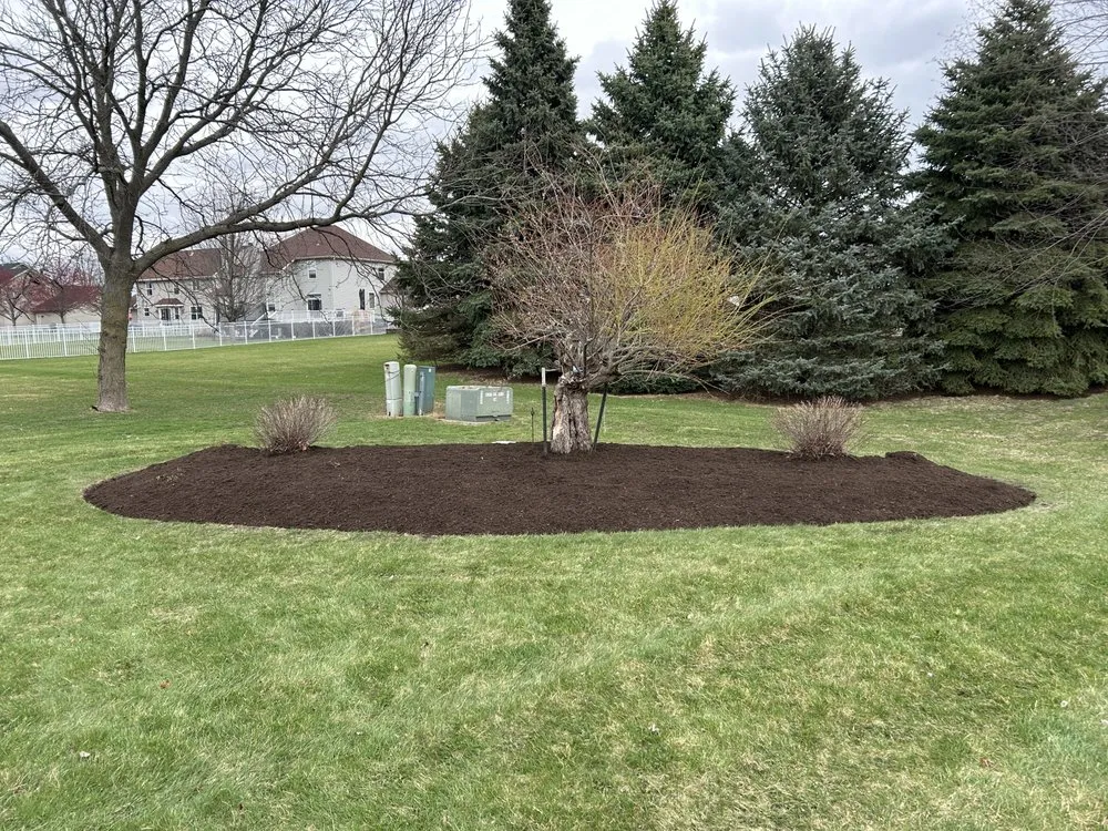 Expert landscaping services experts serving Belvidere, IL - Perez Landscaping 815
