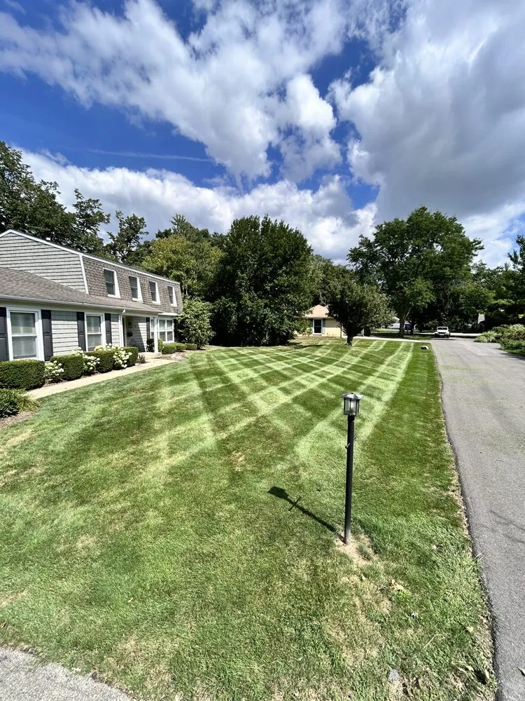 Affordable landscaping services near you in Belvidere, IL by Perez Landscaping 815