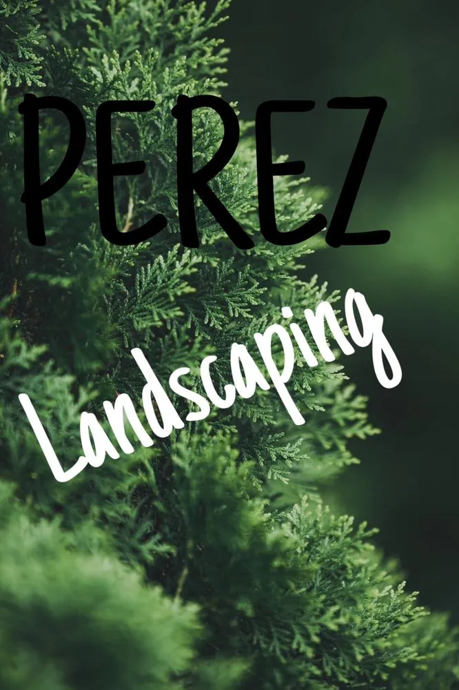 Professional yard maintenance in Addison, TX by PEREZ Landscaping
