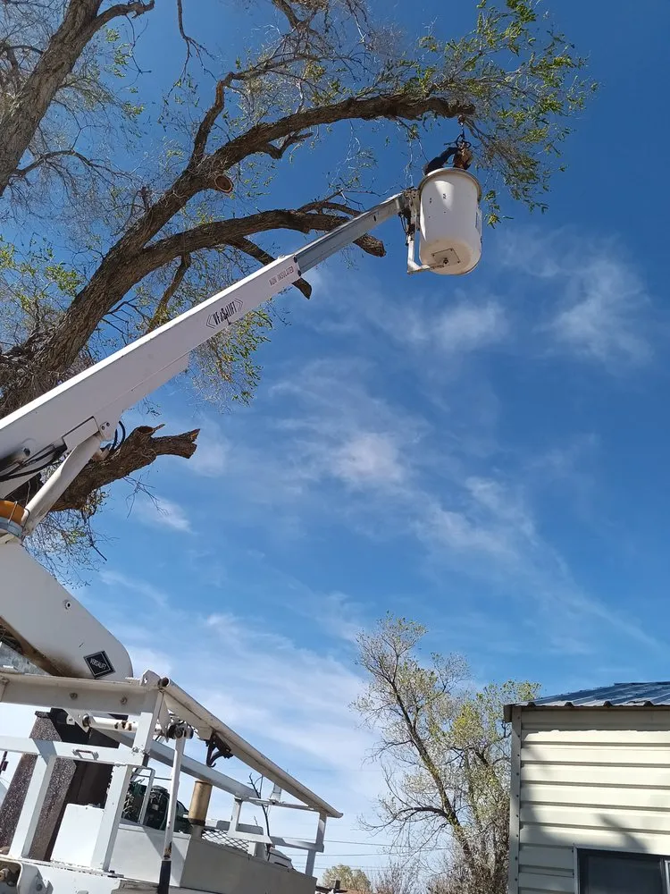 Expert landscape design in Albuquerque, NM by Perez Landscaping