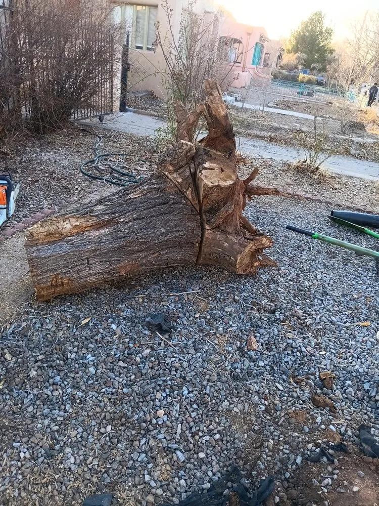 Local yard cleanup service experts serving Albuquerque, NM - Perez Landscaping