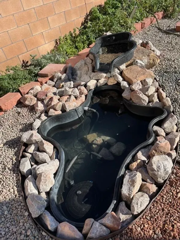 Reliable yard maintenance experts serving Albuquerque, NM - Perez Landscaping