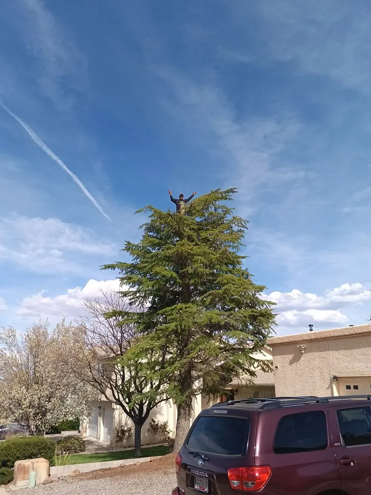 Affordable lawn mowing service for residential properties in Albuquerque, NM by Perez Landscaping