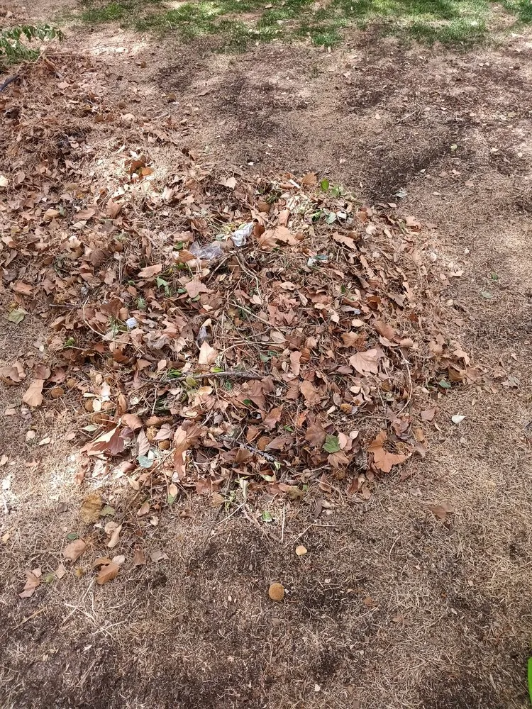 Professional outdoor landscaping in Albuquerque, NM - Perez Landscaping