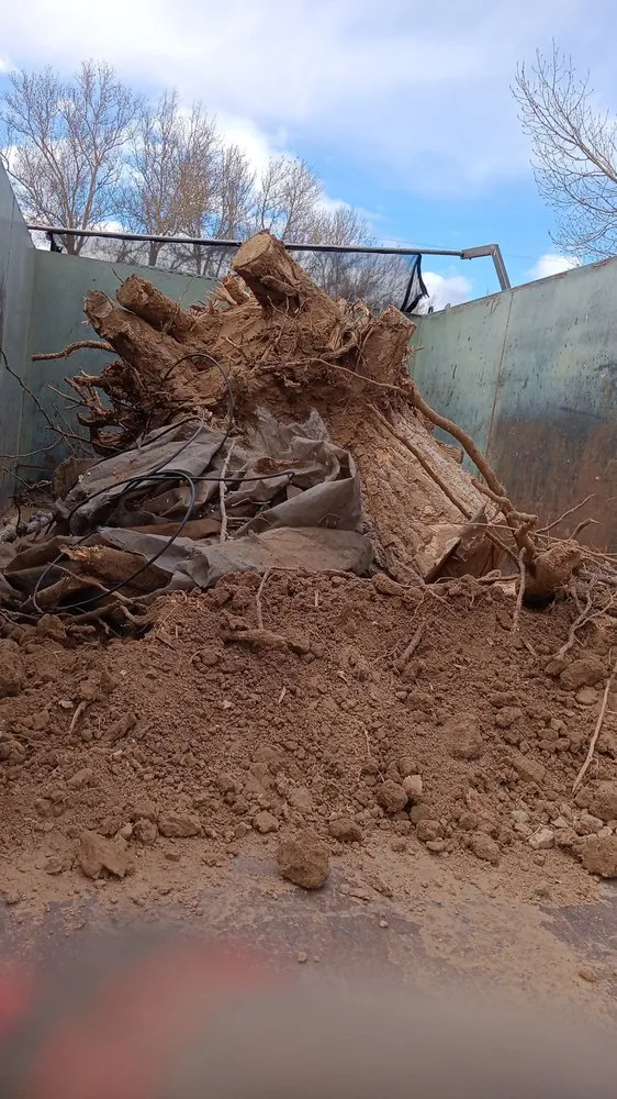 Top-rated yard cleanup service for homes across Albuquerque, NM - Perez Landscaping