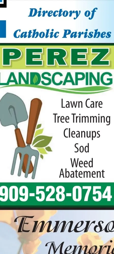 Custom lawn care service experts serving Mentone, CA - Perez Landscaping and Lawn Maintenance