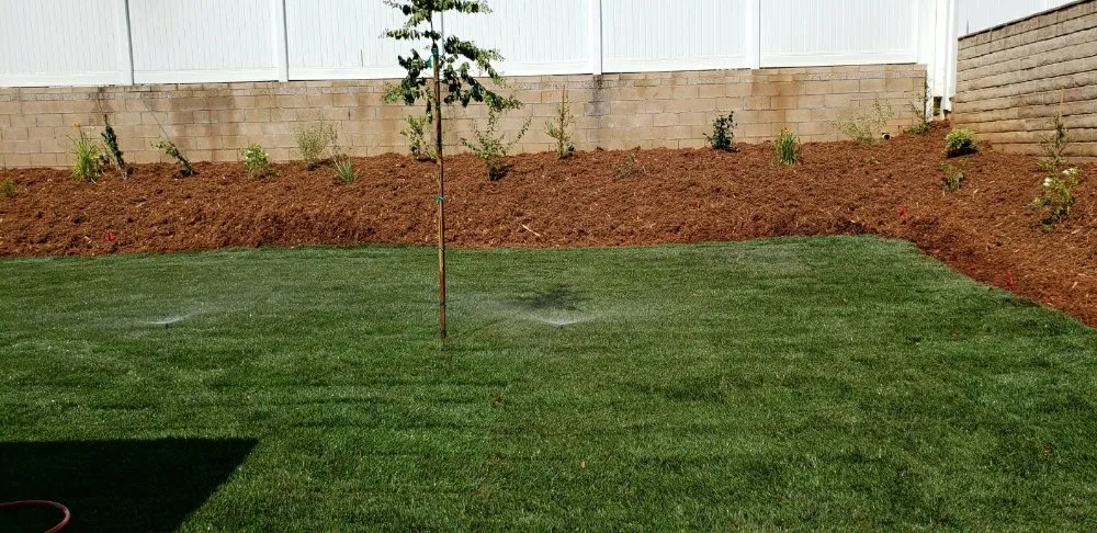 Trusted landscaping services in Mentone, CA - Perez Landscaping and Lawn Maintenance