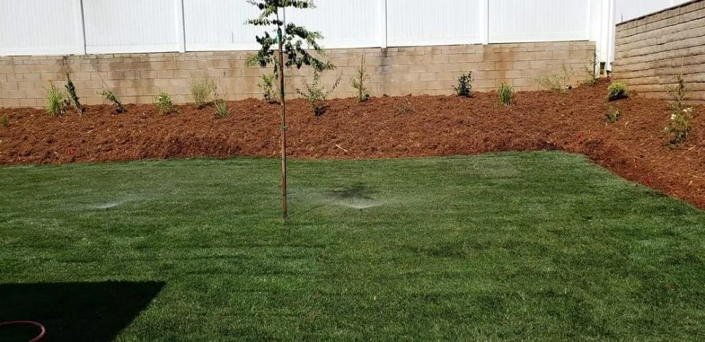 Affordable yard cleanup service experts serving Mentone, CA - Perez Landscaping and Lawn Maintenance