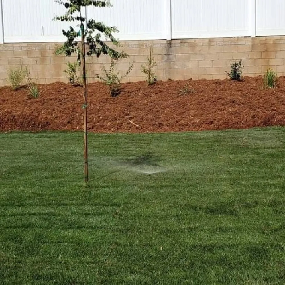 Top-rated yard cleanup service for homes in Mentone, CA by Perez Landscaping and Lawn Maintenance