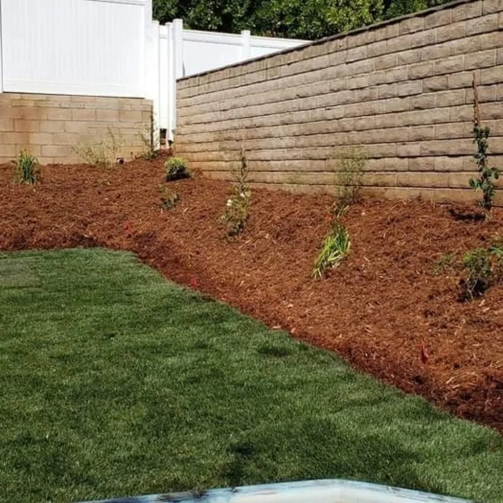 Custom landscape installation near you in Mentone, CA by Perez Landscaping and Lawn Maintenance