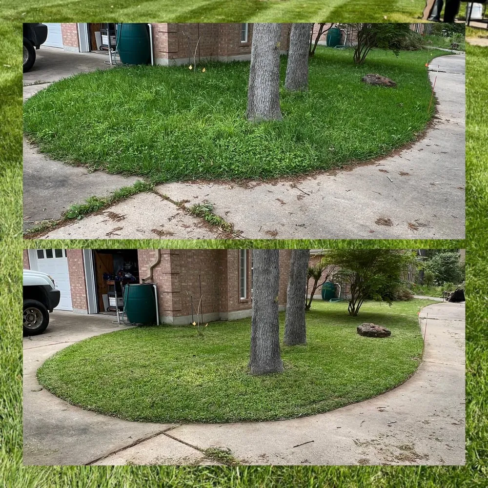 Custom lawn care service near you in Bastrop, TX by Perez landscaping