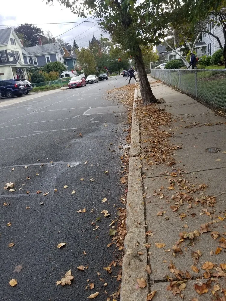 Trusted landscaping services for beautiful yards in Boston, MA by Perez Landscaping