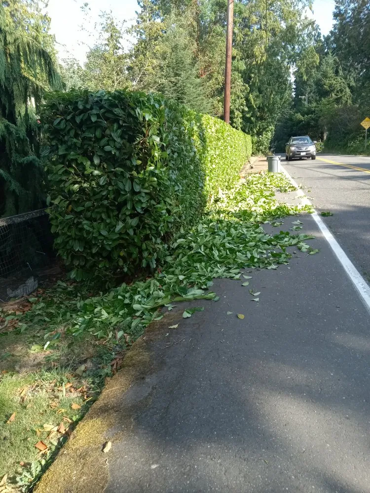 Reliable lawn mowing service in Bremerton, WA by Perez Landscaping