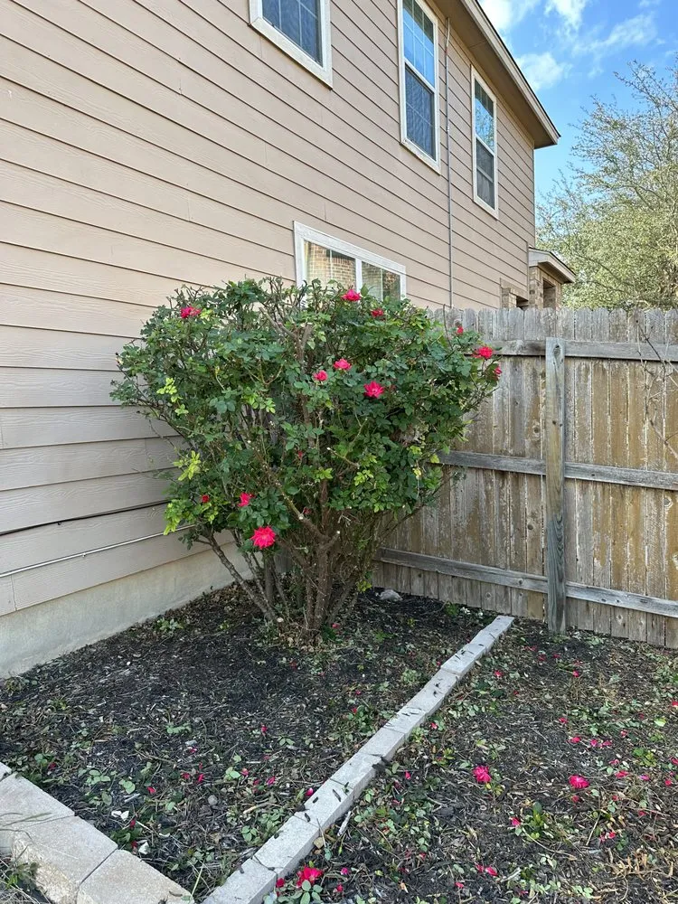 Expert lawn mowing service for residential properties in Converse, TX by Perez Landscaping