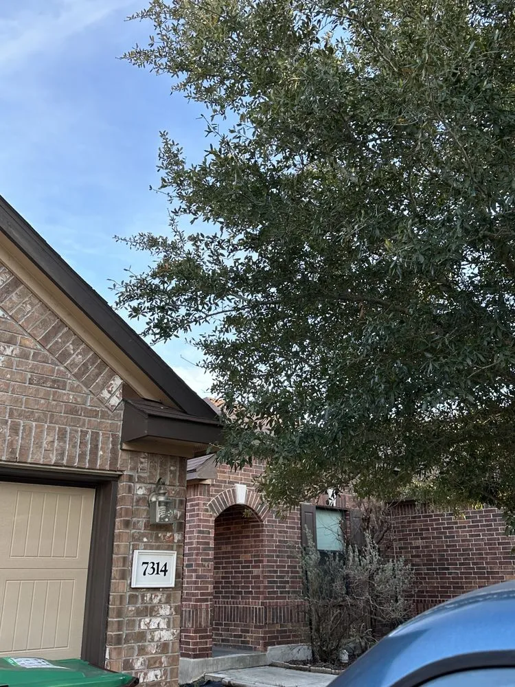 Local lawn care service experts serving Converse, TX - Perez Landscaping