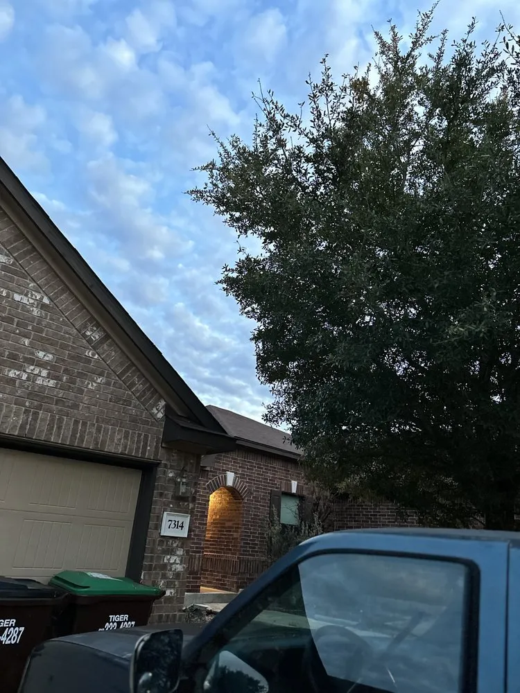 Professional yard maintenance in Converse, TX - Perez Landscaping