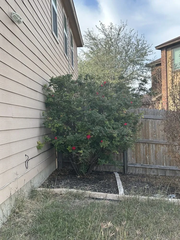 Affordable landscaping services in Converse, TX - Perez Landscaping
