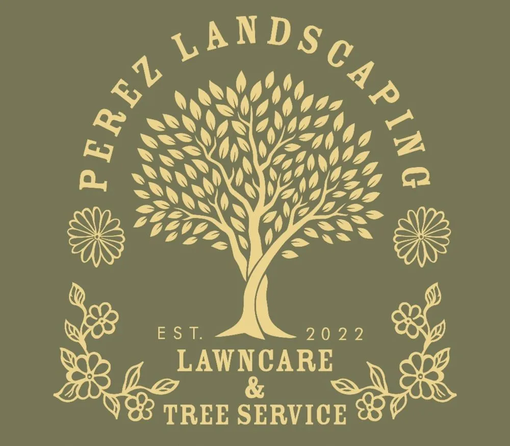 Expert landscape installation in Converse, TX - Perez Landscaping