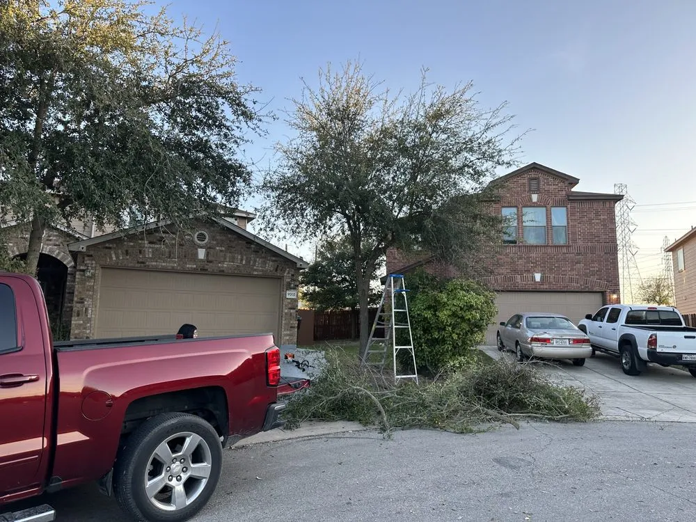 Local lawn care service for beautiful yards across Converse, TX - Perez Landscaping