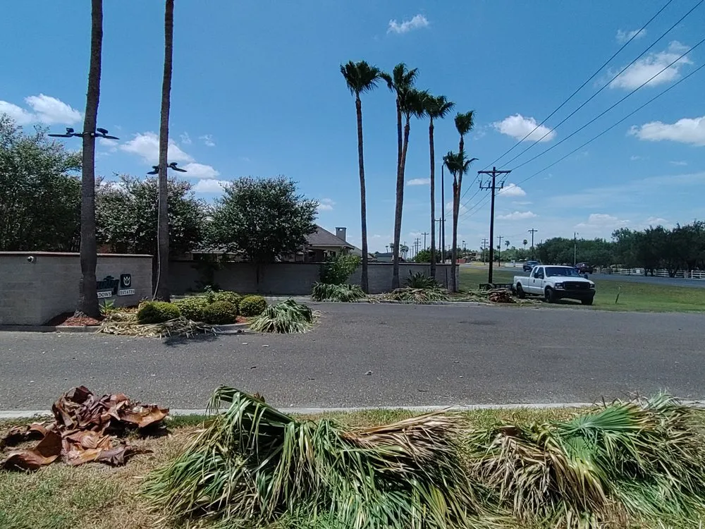 Professional landscape design experts serving Edinburg, TX - Perez Landscaping