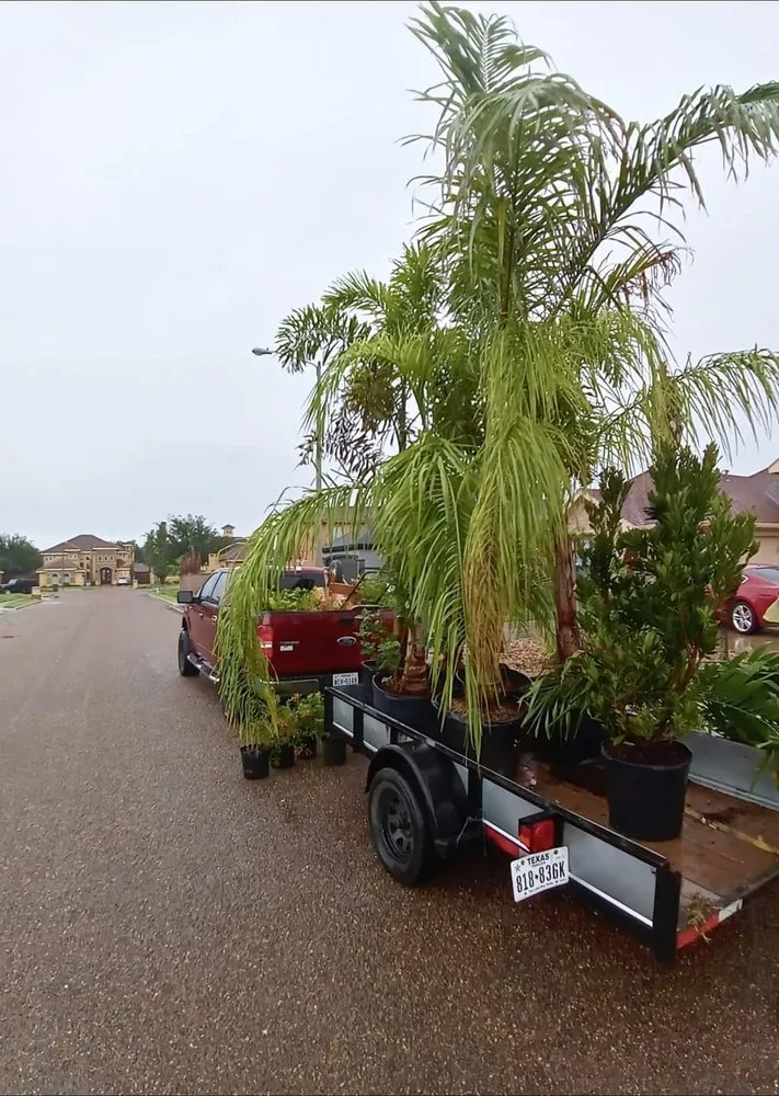 Top-rated landscaping services in Edinburg, TX - Perez Landscaping