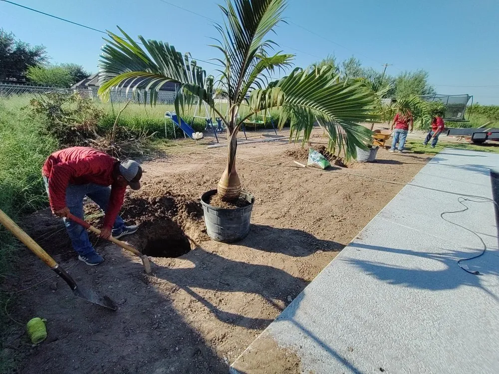 Top-rated residential landscaping near you across Edinburg, TX - Perez Landscaping