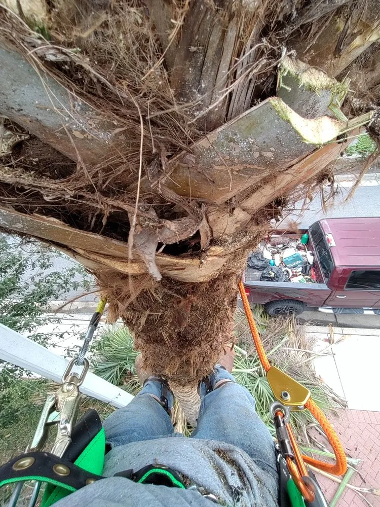 Trusted garden landscaping with custom design in Edinburg, TX by Perez Landscaping