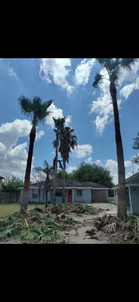 Professional outdoor landscaping experts serving Edinburg, TX - Perez Landscaping