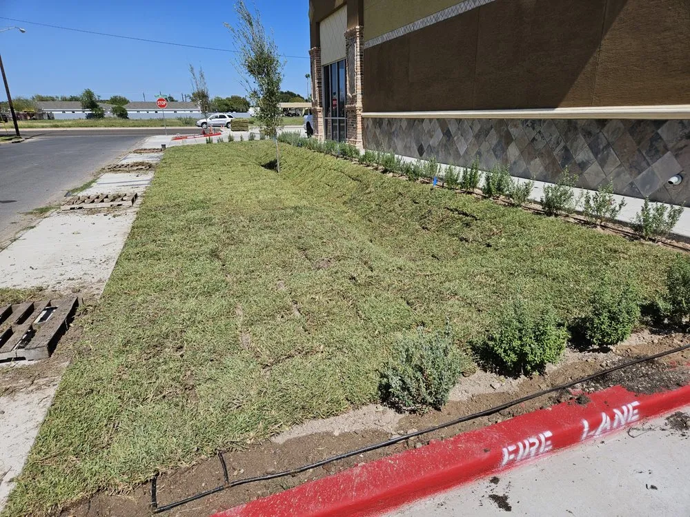 Expert yard cleanup service experts serving Edinburg, TX - Perez Landscaping
