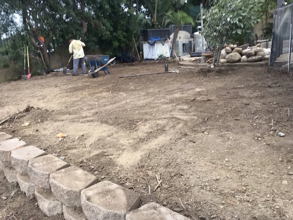 Professional yard maintenance near you across Encinitas, CA - Perez Landscaping