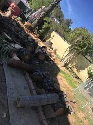 Perez Landscaping Logo