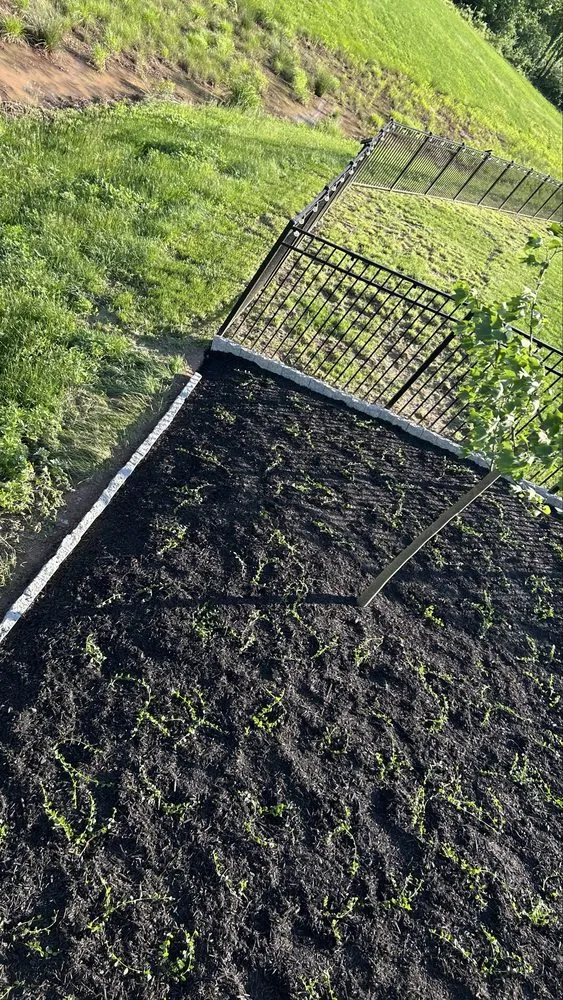 Expert landscape design in Phoenixville, PA - Perez Landscaping Hardscaping