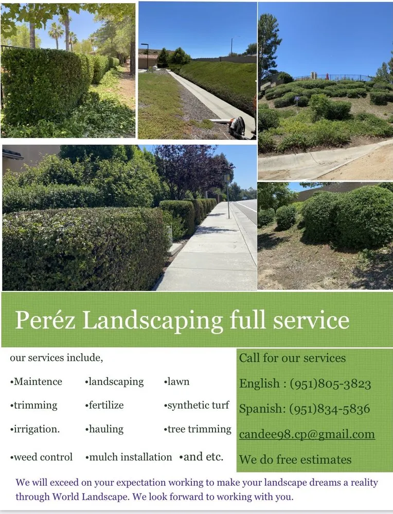 Reliable outdoor landscaping experts serving Lake Elsinore, CA - Perez Landscaping