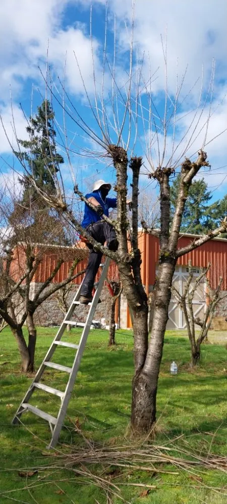 Professional landscape installation near you across Vancouver, WA - Perez Landscaping Maintenance